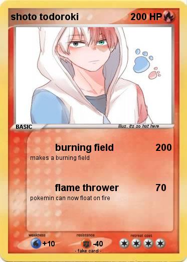 Pokemon shoto todoroki