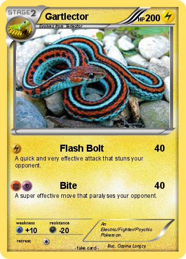 Pokemon Gartlector