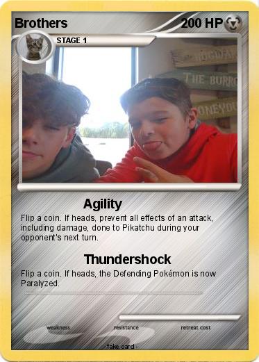 Pokemon Brothers