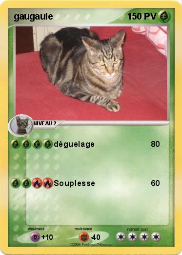 Pokemon gaugaule