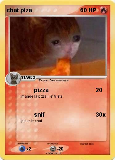 Pokemon chat piza