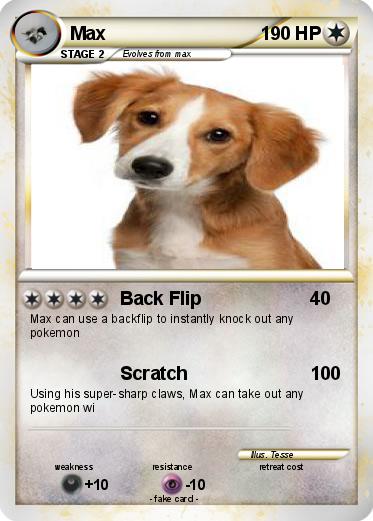 Pokemon Max