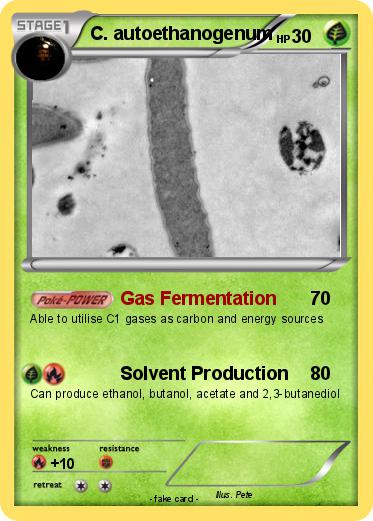Pokemon C. autoethanogenum