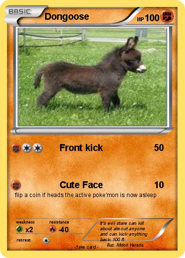 Pokemon Dongoose