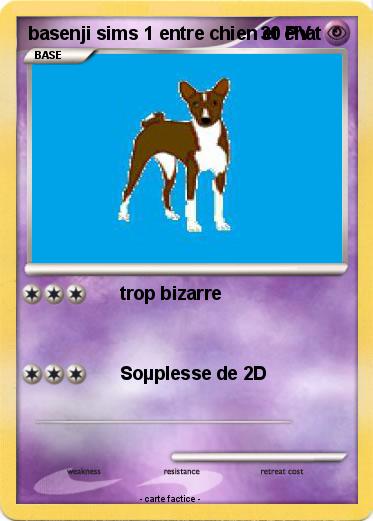 Pokemon basenji sims 1 entre chien et chat