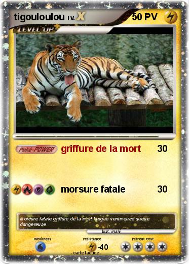 Pokemon tigouloulou