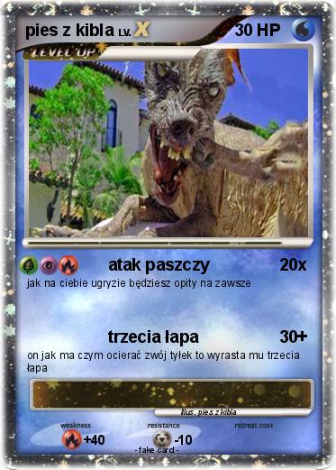 Pokemon pies z kibla