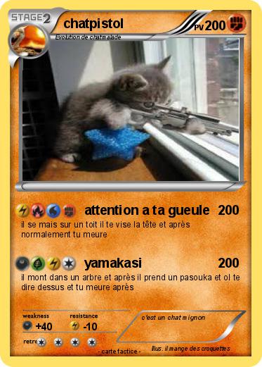 Pokemon chatpistol