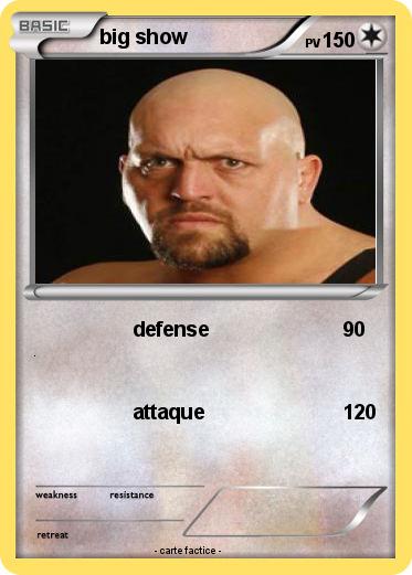 Pokemon big show