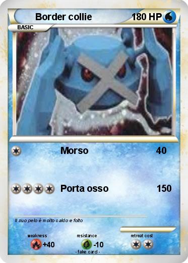 Pokemon Border collie