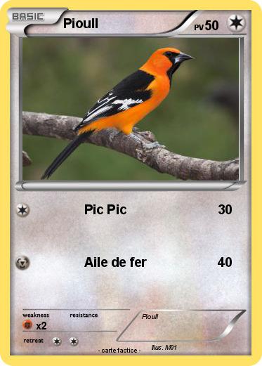 Pokemon Pioull