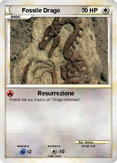 Pokemon Fossile Drago