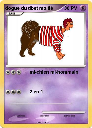 Pokemon dogue du tibet moitié