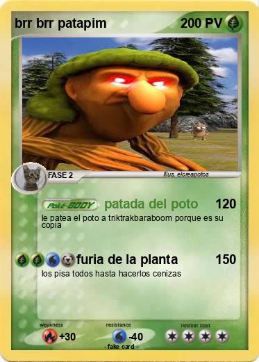 Pokemon brr brr patapim