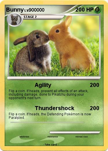 Pokemon Bunny