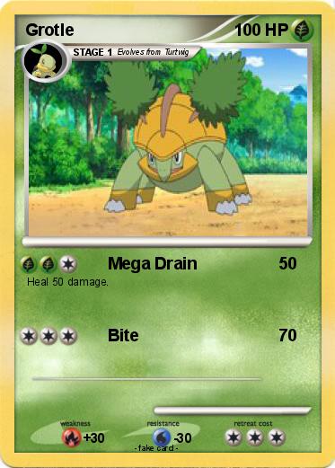 Pokemon Grotle