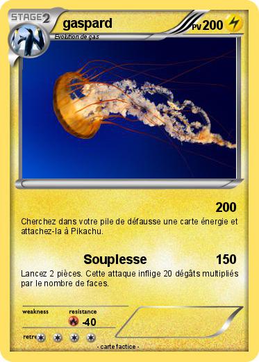 Pokemon gaspard