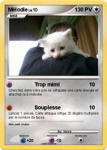 Pokemon Mélodie
