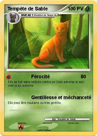 Pokemon Tempête de Sable