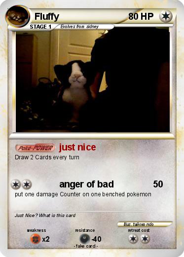 Pokemon Fluffy
