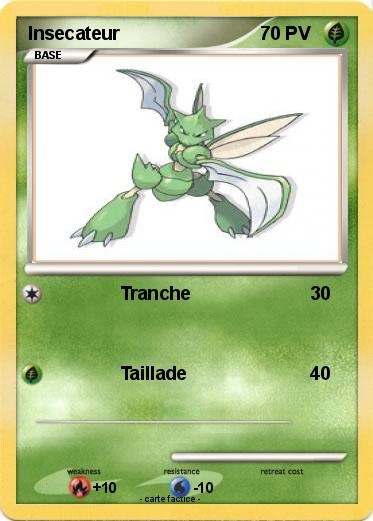 Pokemon Insecateur