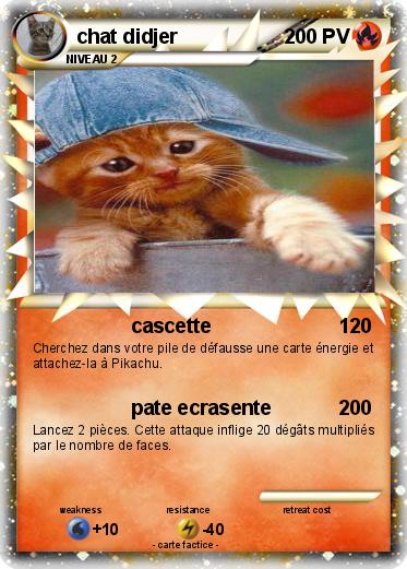 Pokemon chat didjer