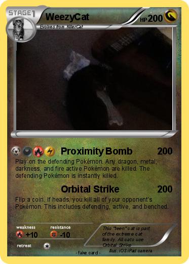 Pokemon WeezyCat