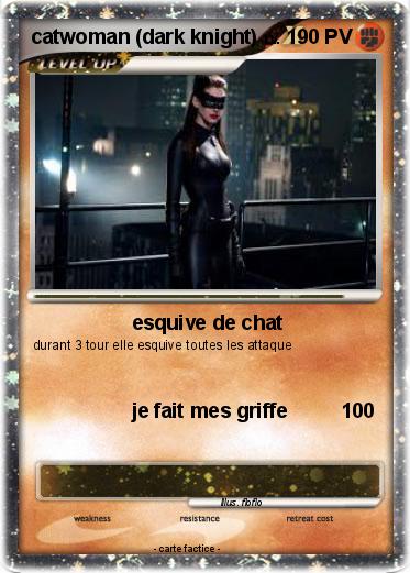 Pokemon catwoman (dark knight)