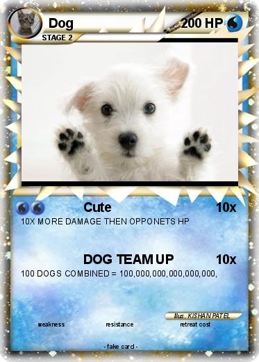 Pokemon Dog