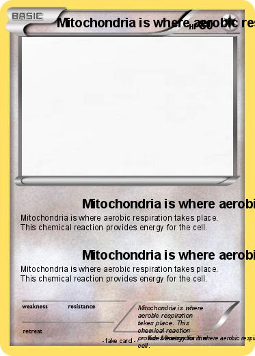 Pokemon Mitochondria is where aerobic respiration takes place. This chemical reaction provides energy for the cell.