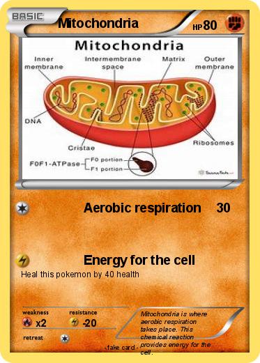 Pokemon Mitochondria