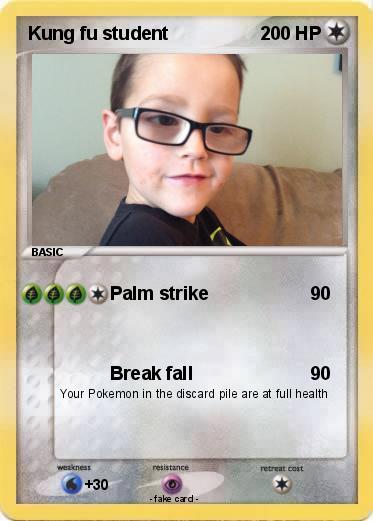 Pokemon Kung fu student