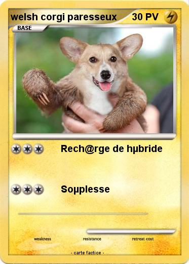 Pokemon welsh corgi paresseux