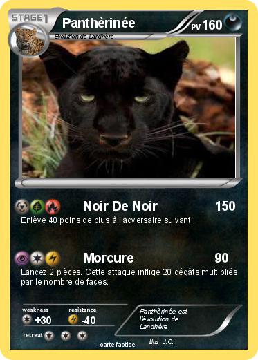 Pokemon Panthèrinée