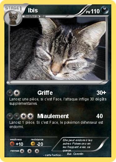 Pokemon Ibis