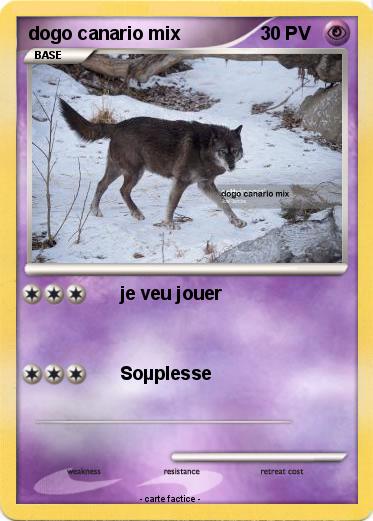 Pokemon dogo canario mix