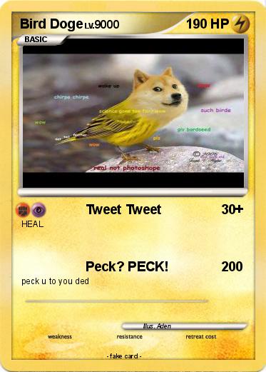 Pokemon Bird Doge