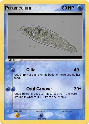 Pokemon Paramecium