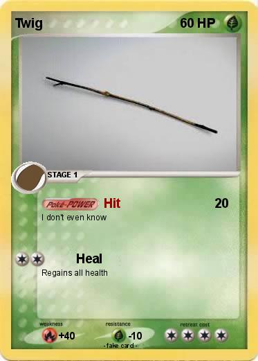 Pokemon Twig