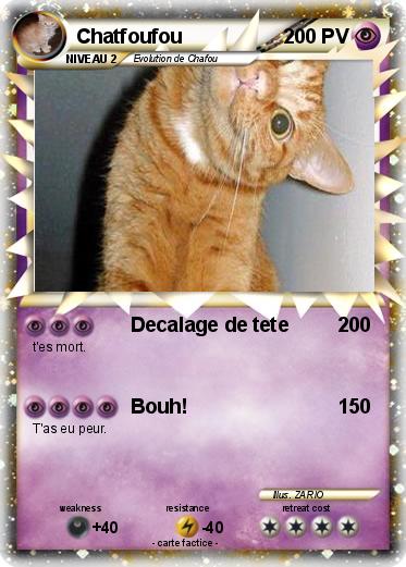 Pokemon Chatfoufou