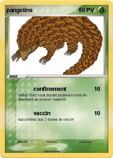 Pokemon pangolins