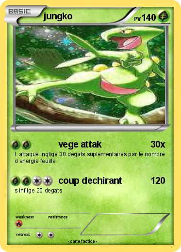 Pokemon jungko