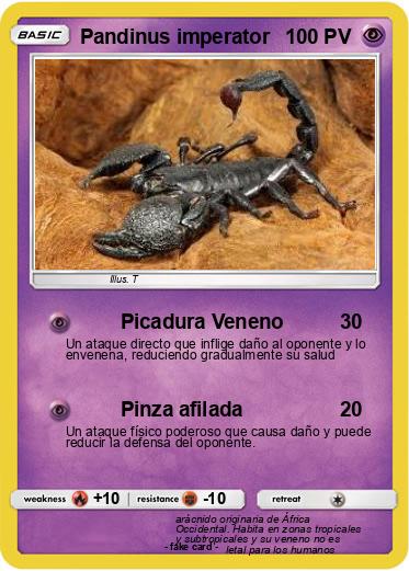 Pokemon Pandinus imperator
