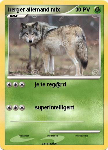 Pokemon berger allemand mix