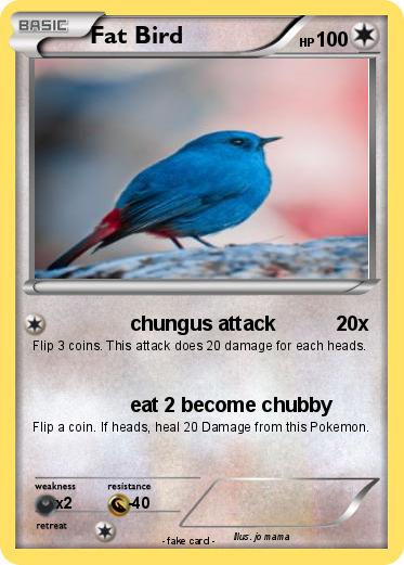 Pokemon Fat Bird