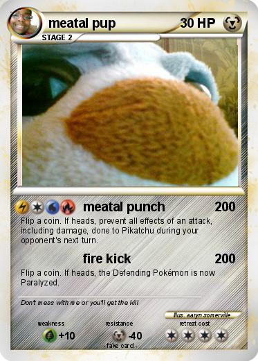 Pokemon meatal pup