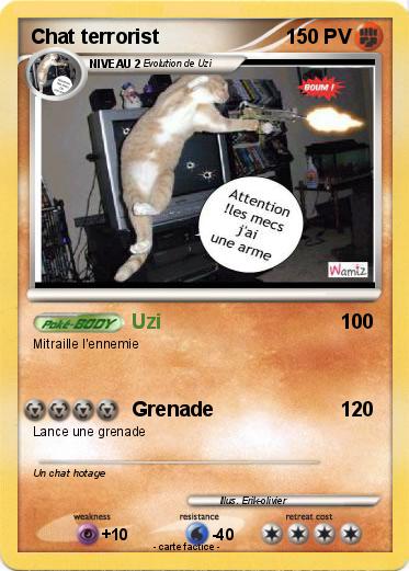 Pokemon Chat terrorist