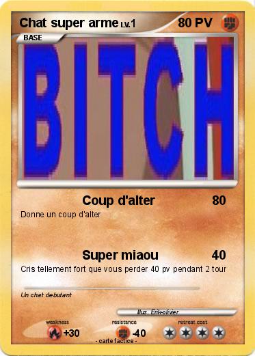 Pokemon Chat super arme