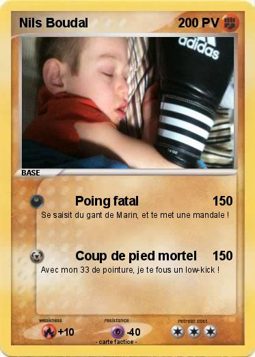 Pokemon Nils Boudal