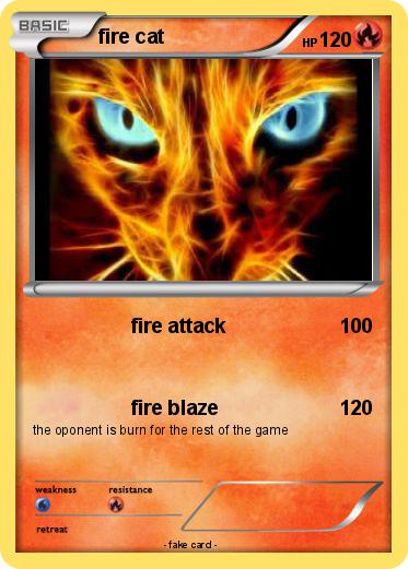 Pokemon fire cat
